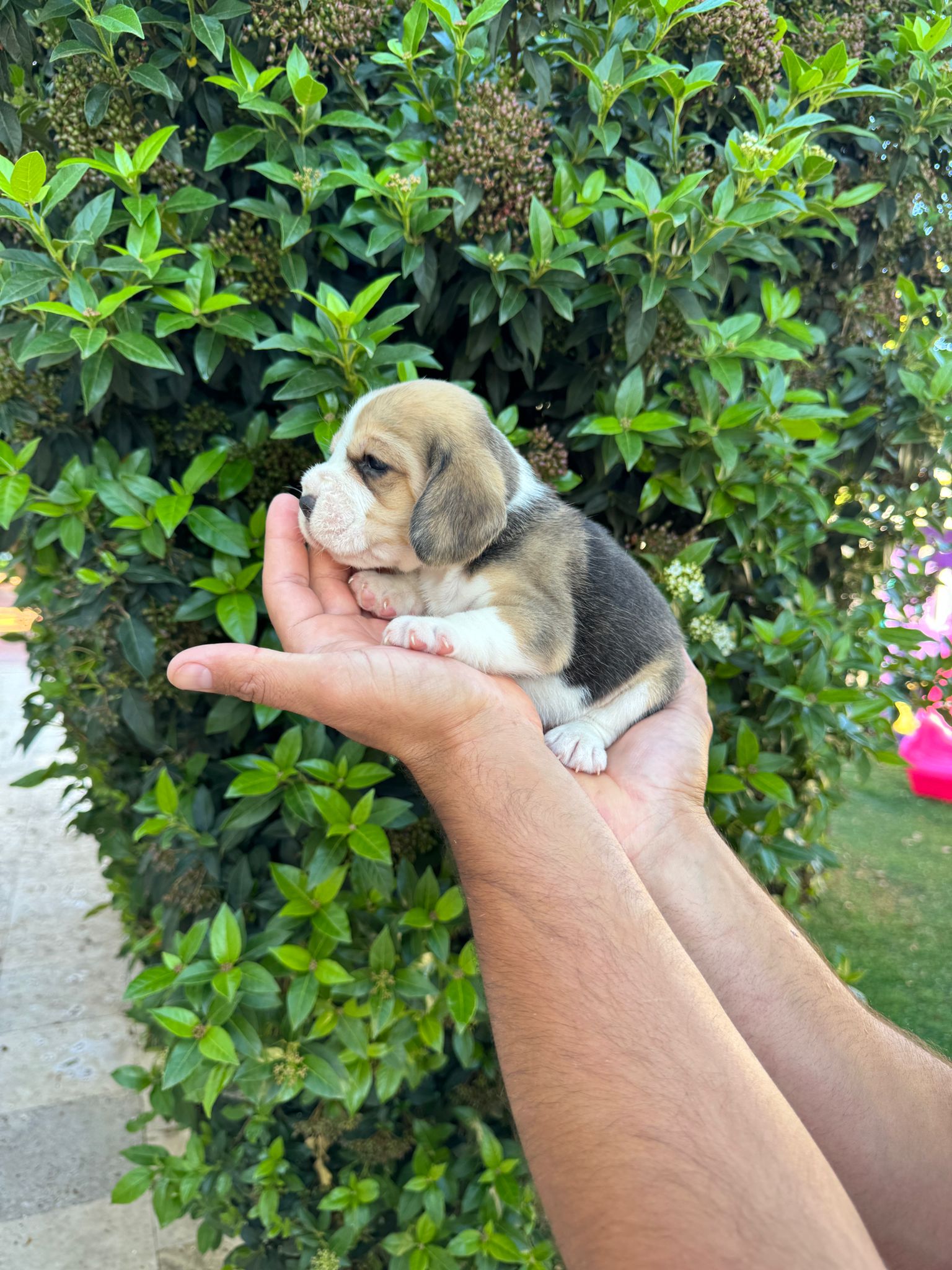 094d965f-b1e5-4041-a0b6-378705d9a76c-min