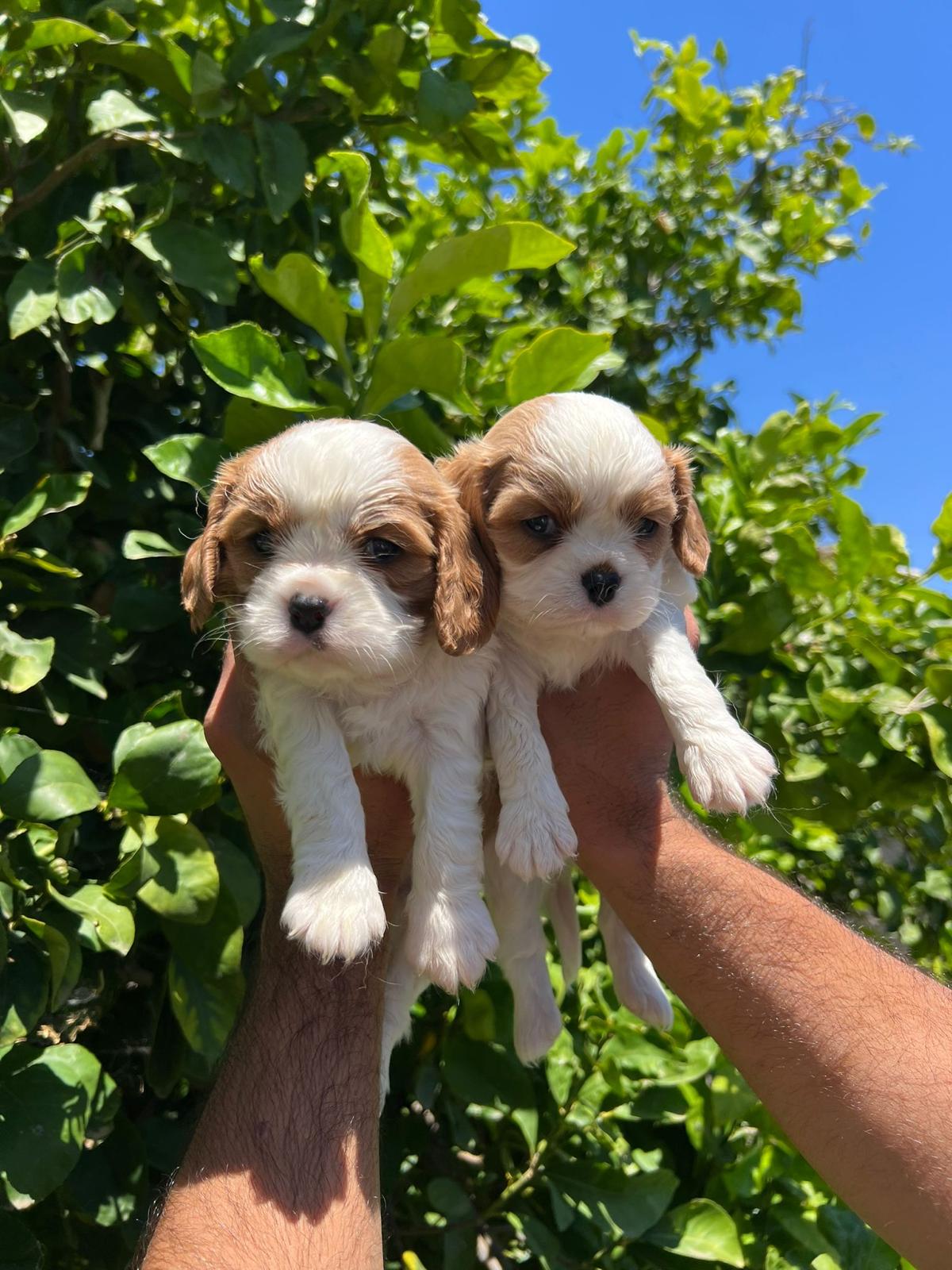 111ff938-dd01-4253-b7ef-19987dff41ad-min