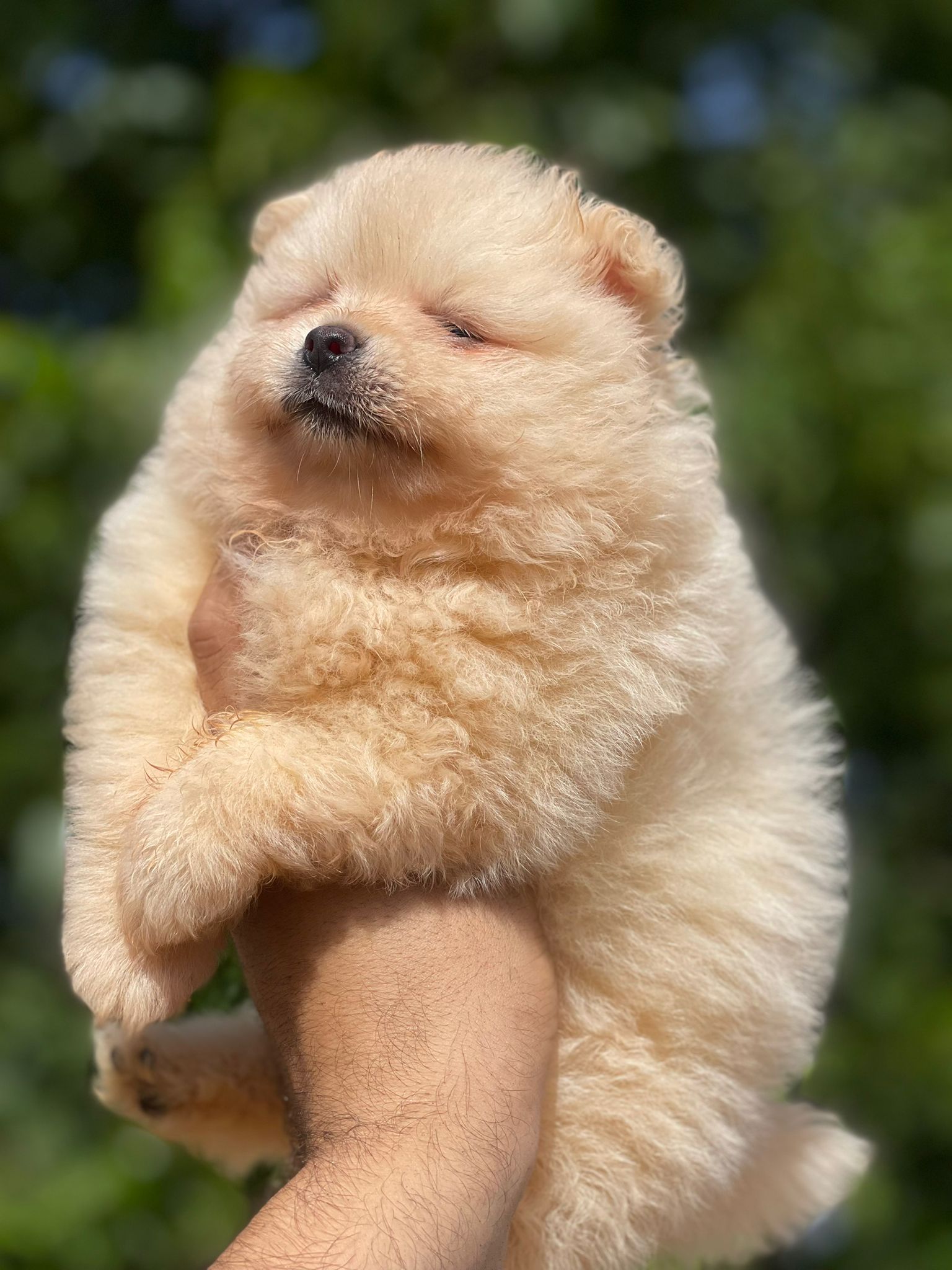 139541fc-19d2-48b3-894a-4098170521cf