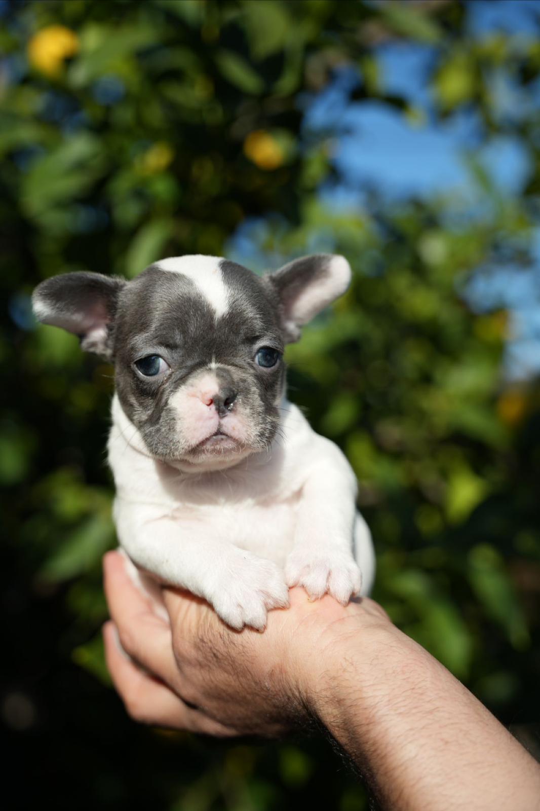 33a24bf1-4290-4c05-ab20-a43f96397def-min