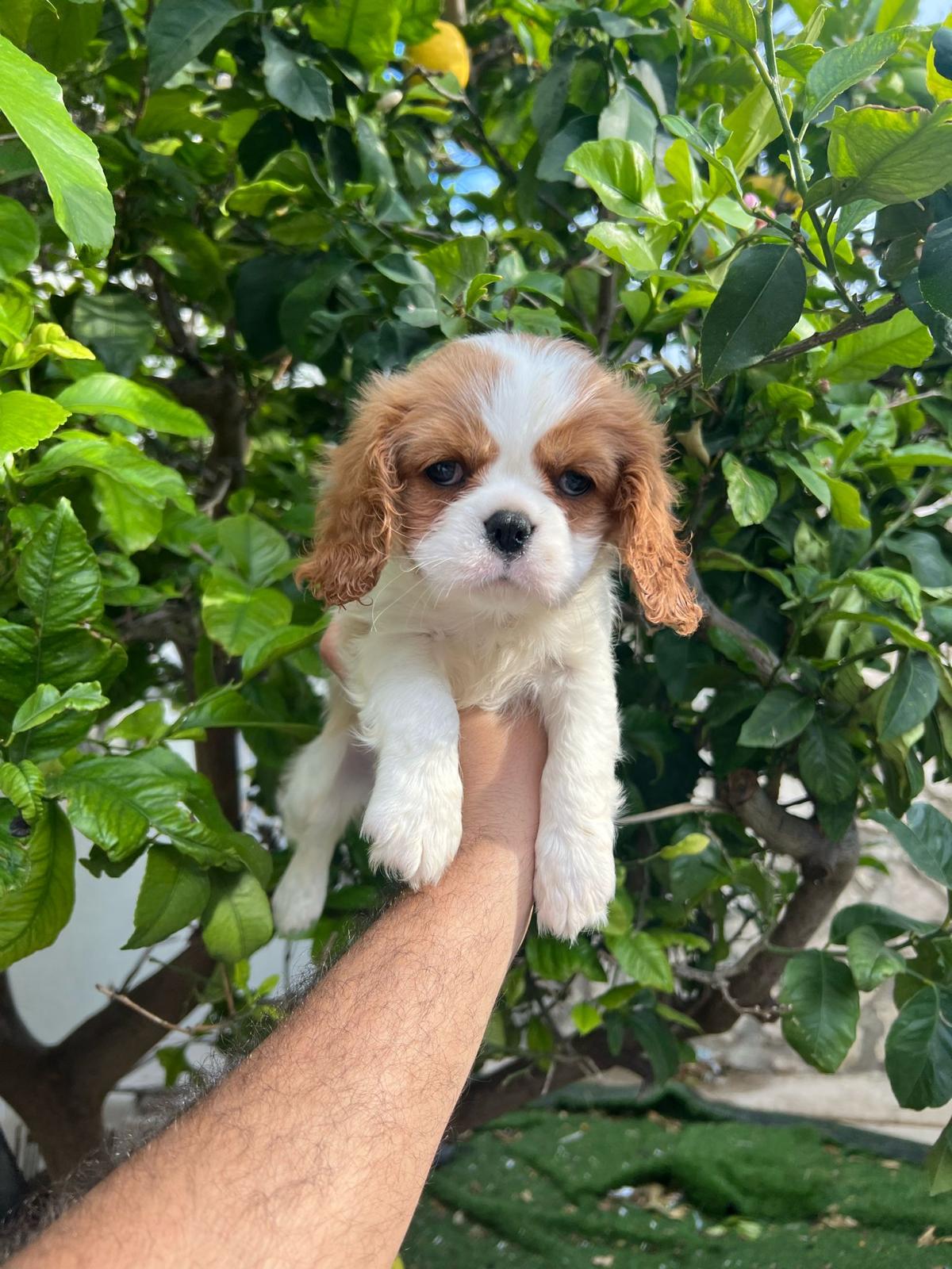 5f64edf3-f5bd-4fb4-a1fd-b65f613808e8-min