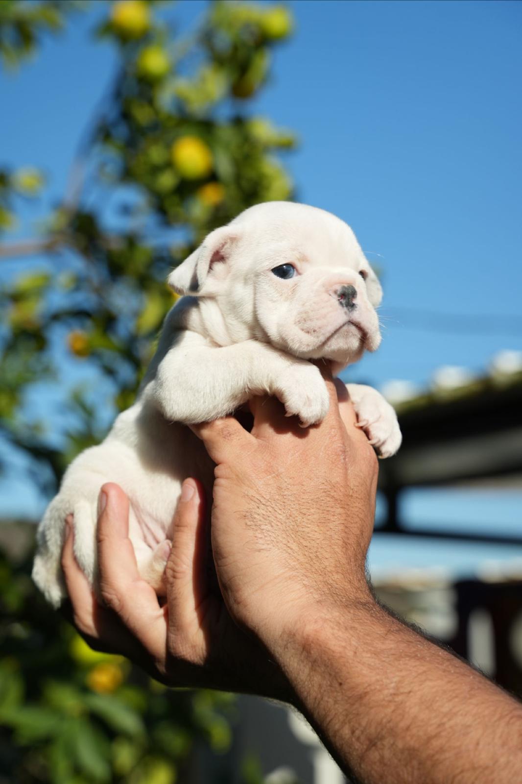 63a5bf6e-62b5-405c-8331-60401378abd1-min