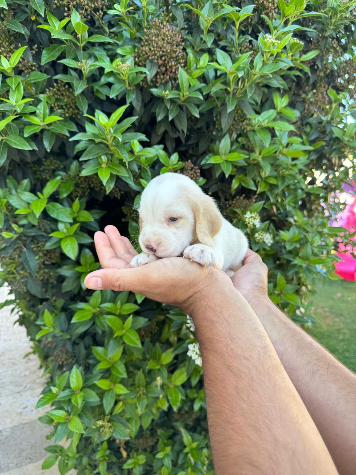 809a7529-d897-4f8f-9315-512b77ac22bf-min