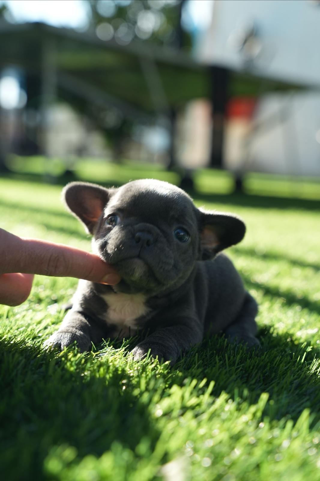 8902c425-6a90-4887-931d-c0305cf5d16f-min