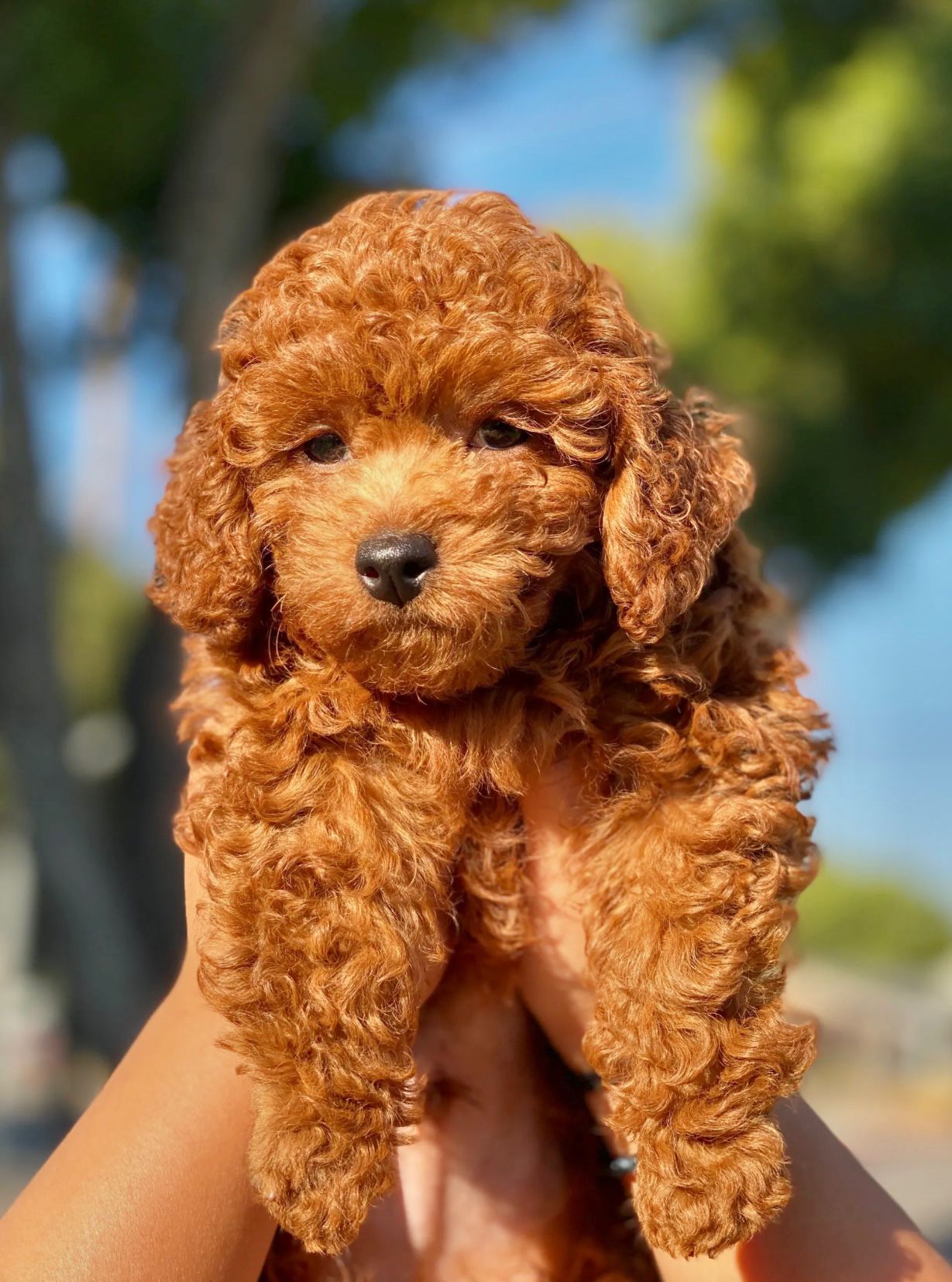 899f2594-e810-439a-aaef-894d1eb3e981-min