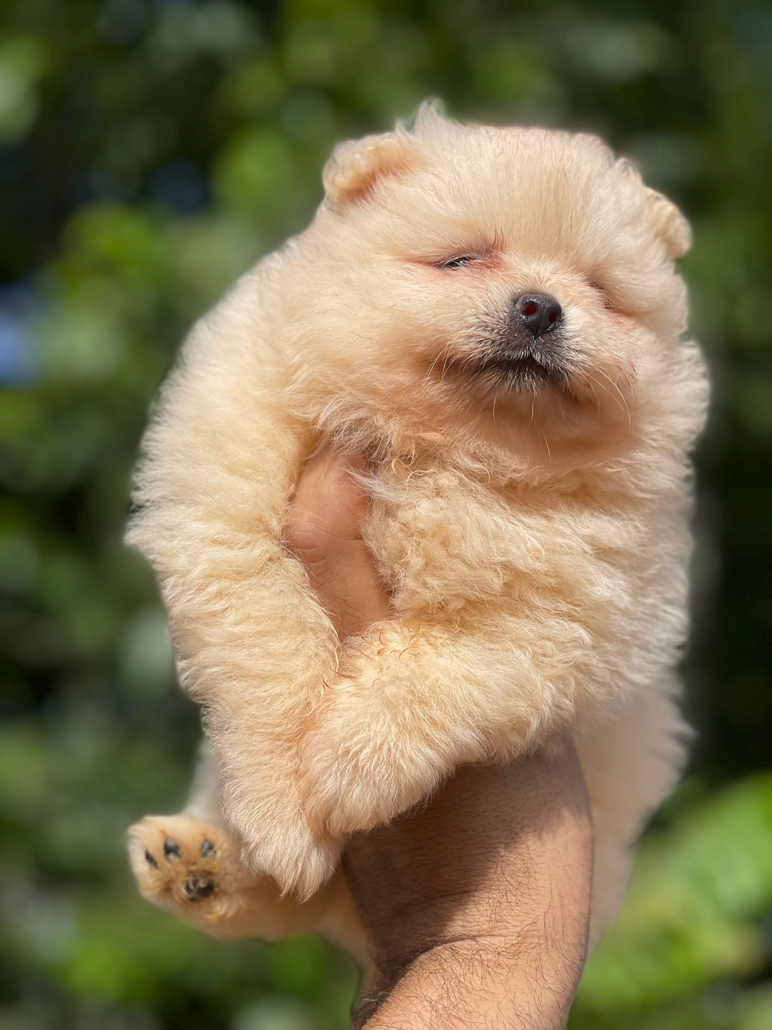 8b8c637c-f701-4af2-9b50-07c2fd96359b