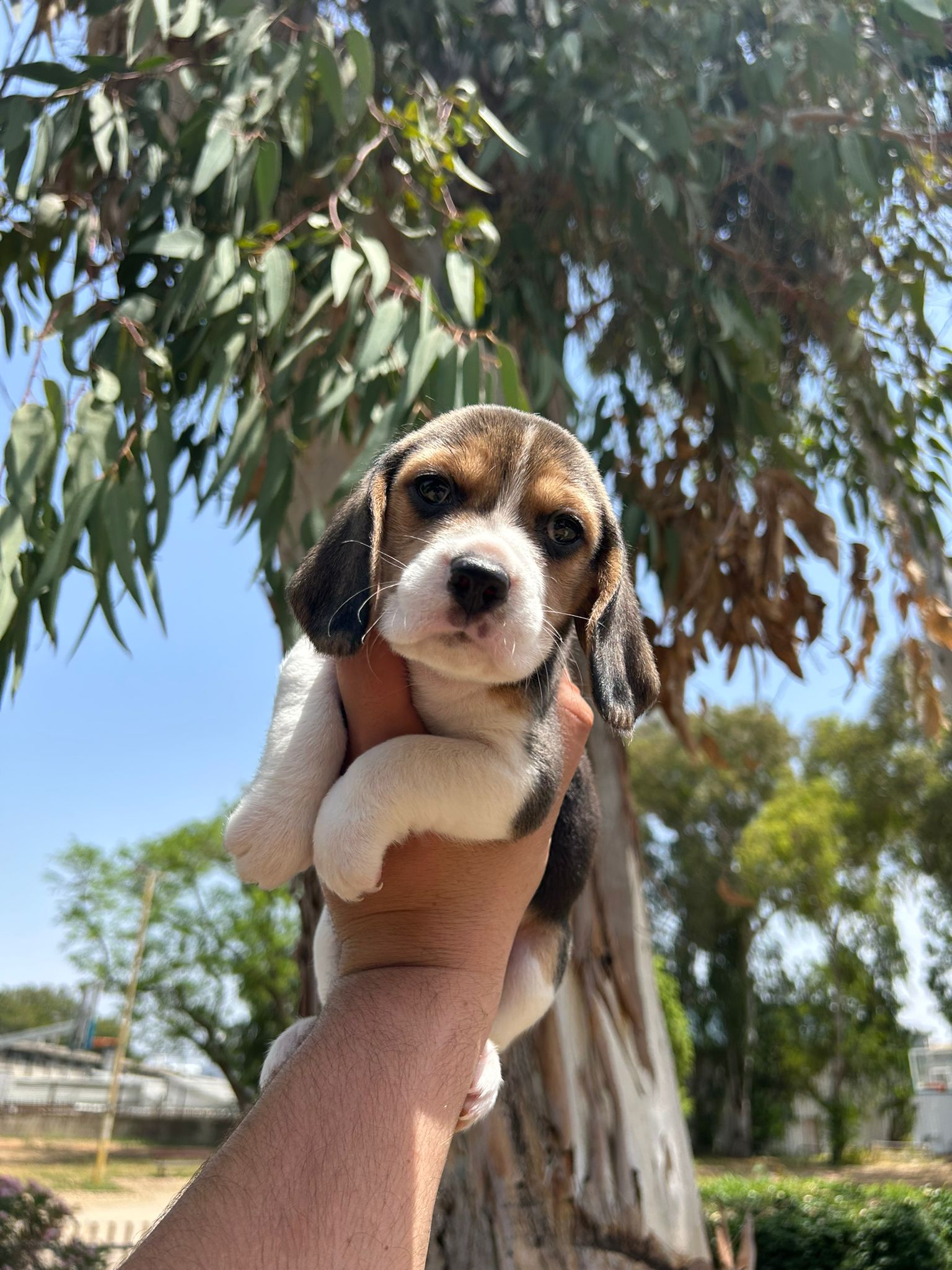 8e337649-1d7c-4922-9168-97cd8f9cd8f0-min