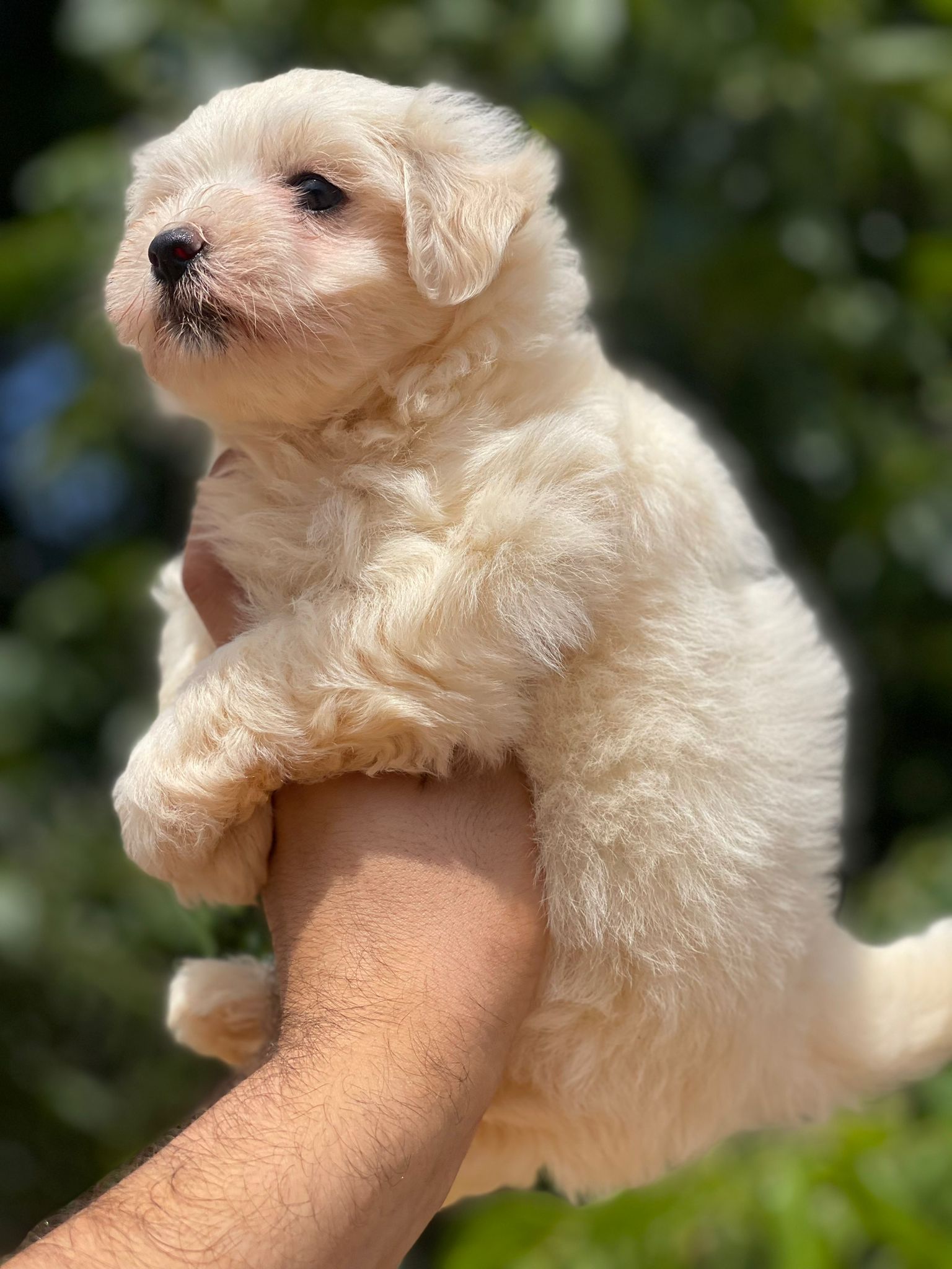 aa2e1ee1-533e-40af-a314-3c2e0f663012