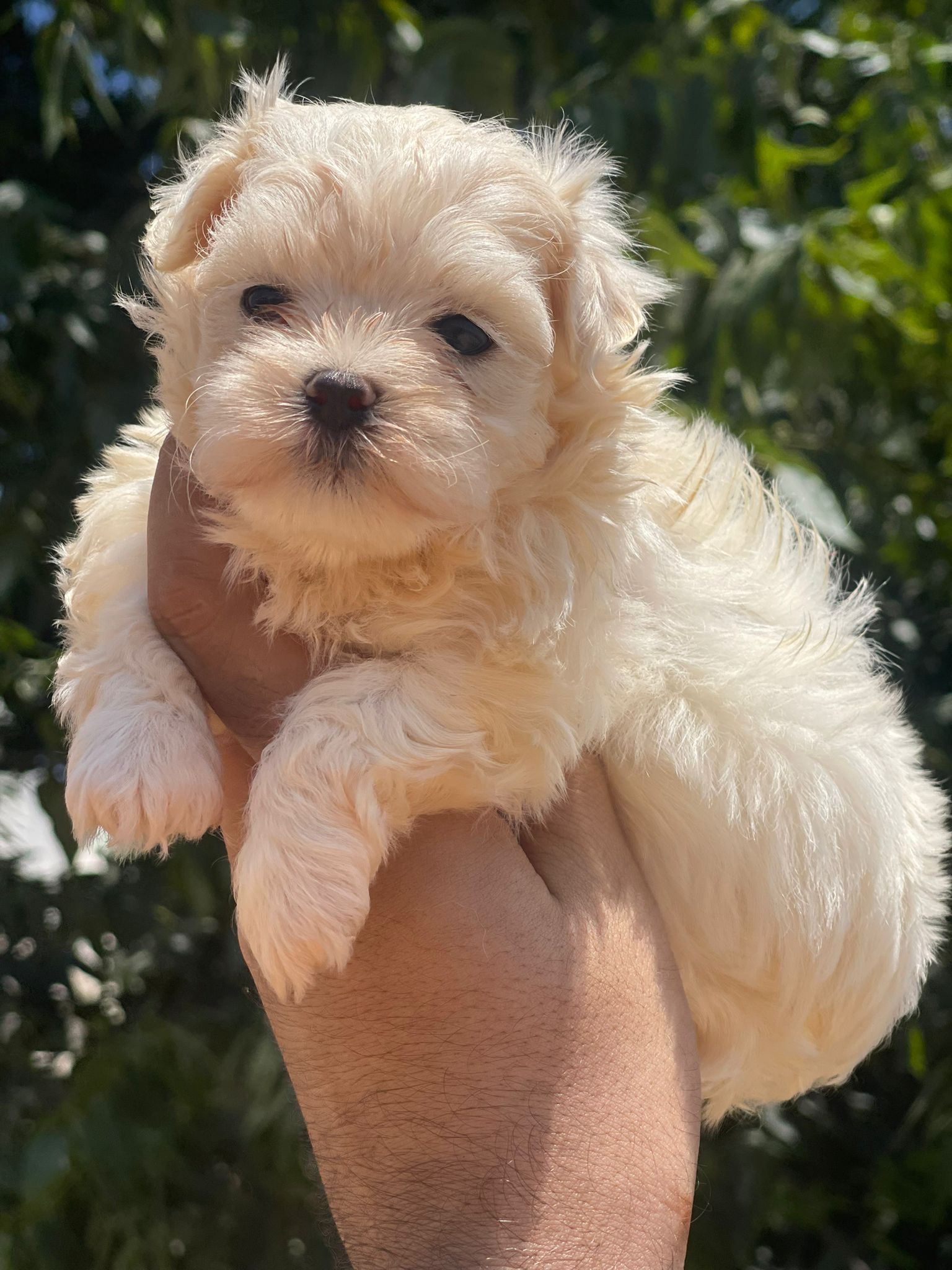 adeb24bd-2733-40fe-b587-3d1749b213cd