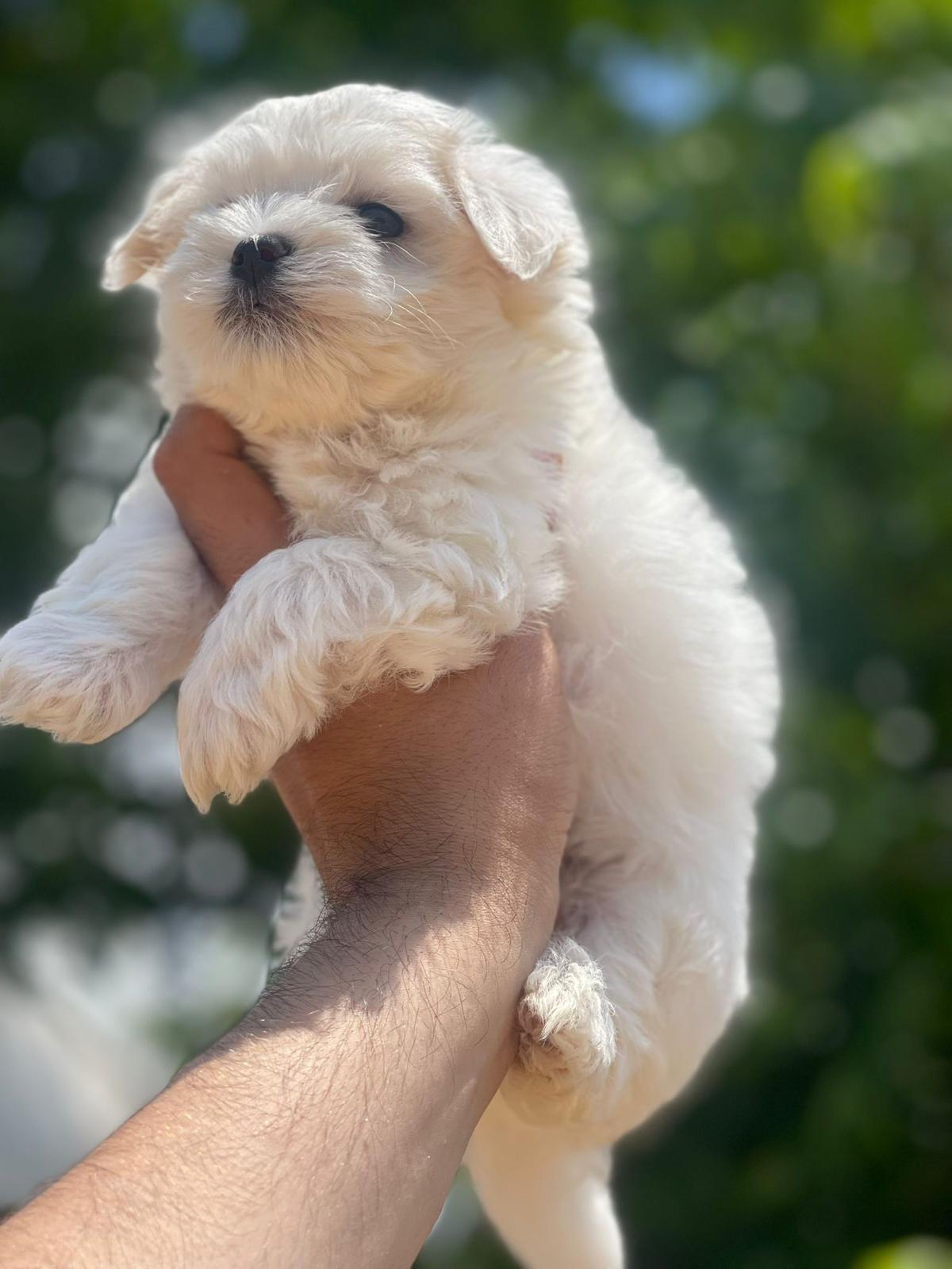 b71ef000-f090-47ce-b9ca-1ef72bf1ff2a