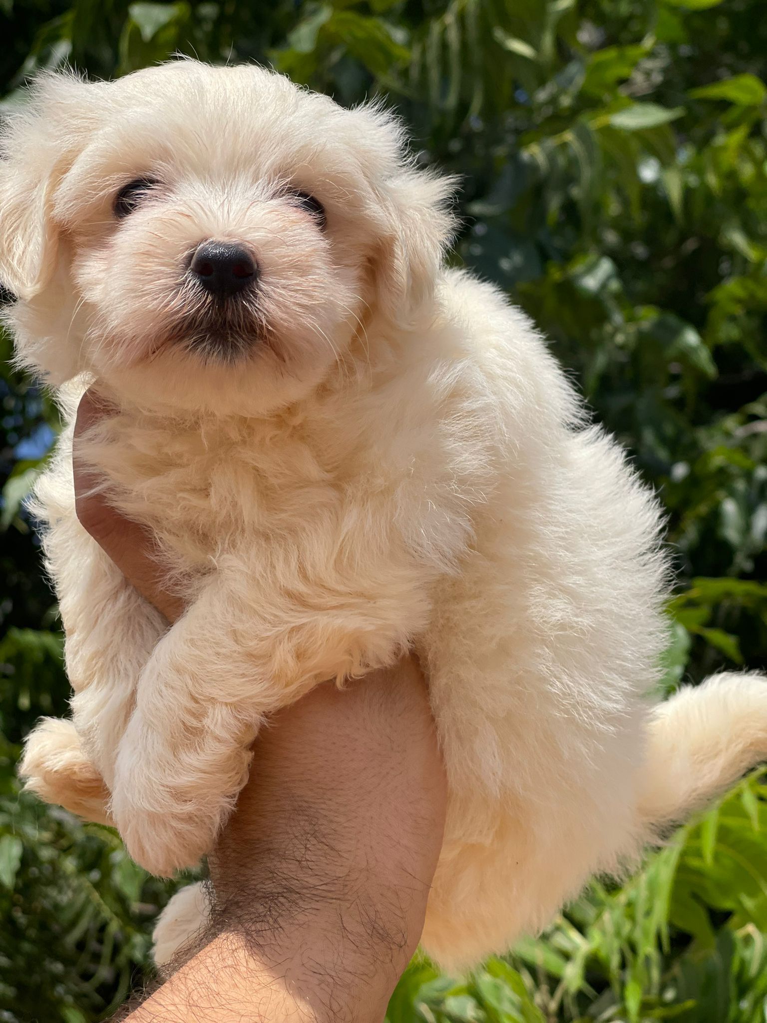 d22cc945-b249-4a90-bc32-0e1325fb7d4b