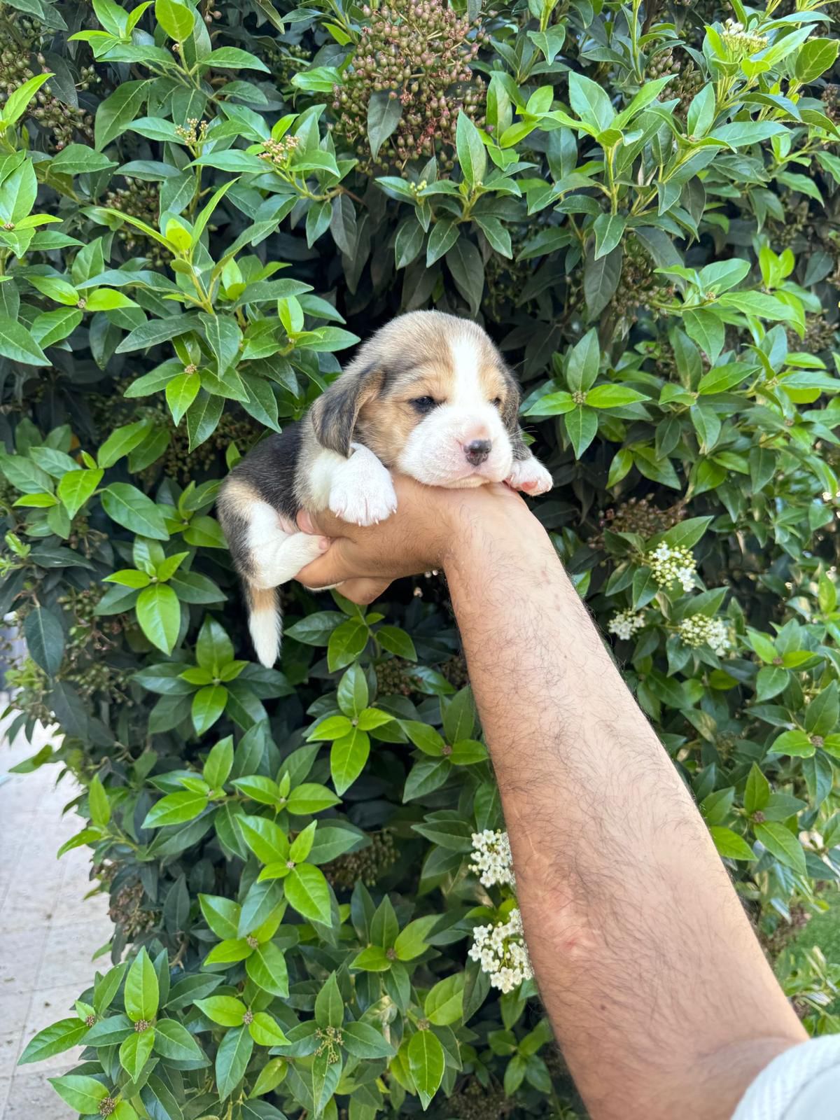 db23631b-77f8-48bd-9c41-be6b1b0b0584-min