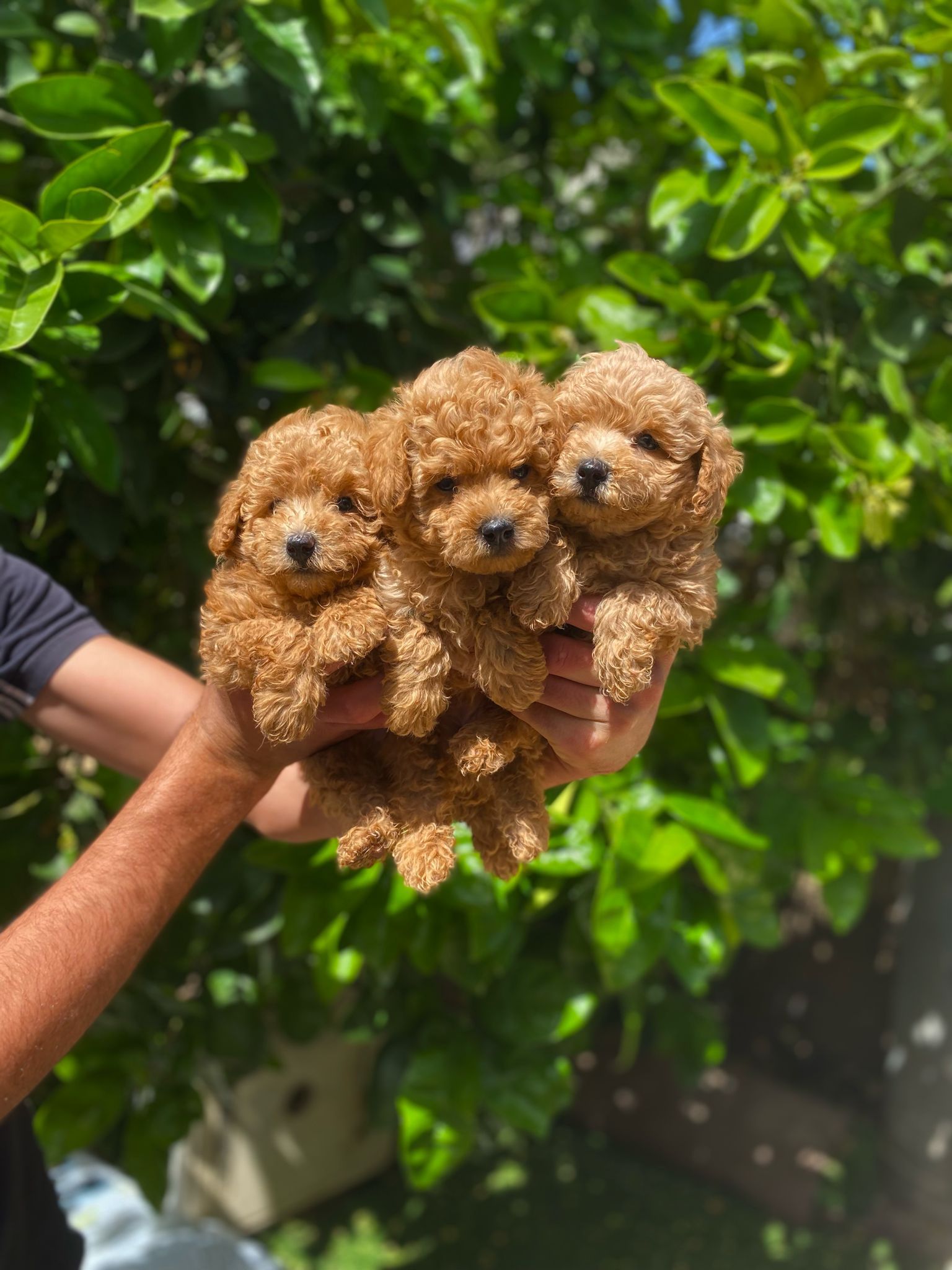 dcb8b5de-61b1-4c83-9ff0-bf277648ed75-min