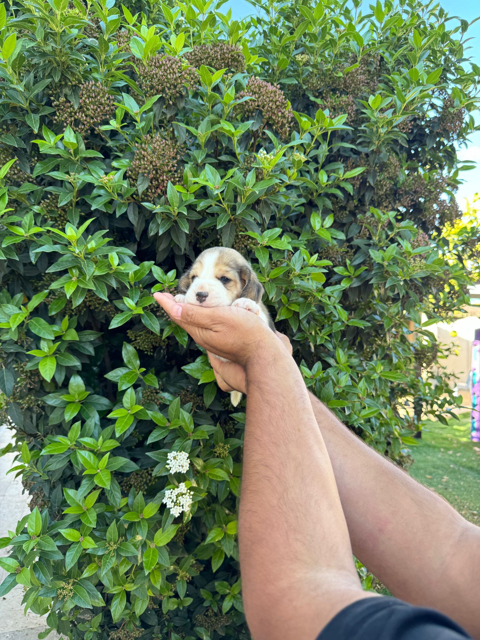 e2b46aba-e6d0-4929-9963-5c86dac54794-min