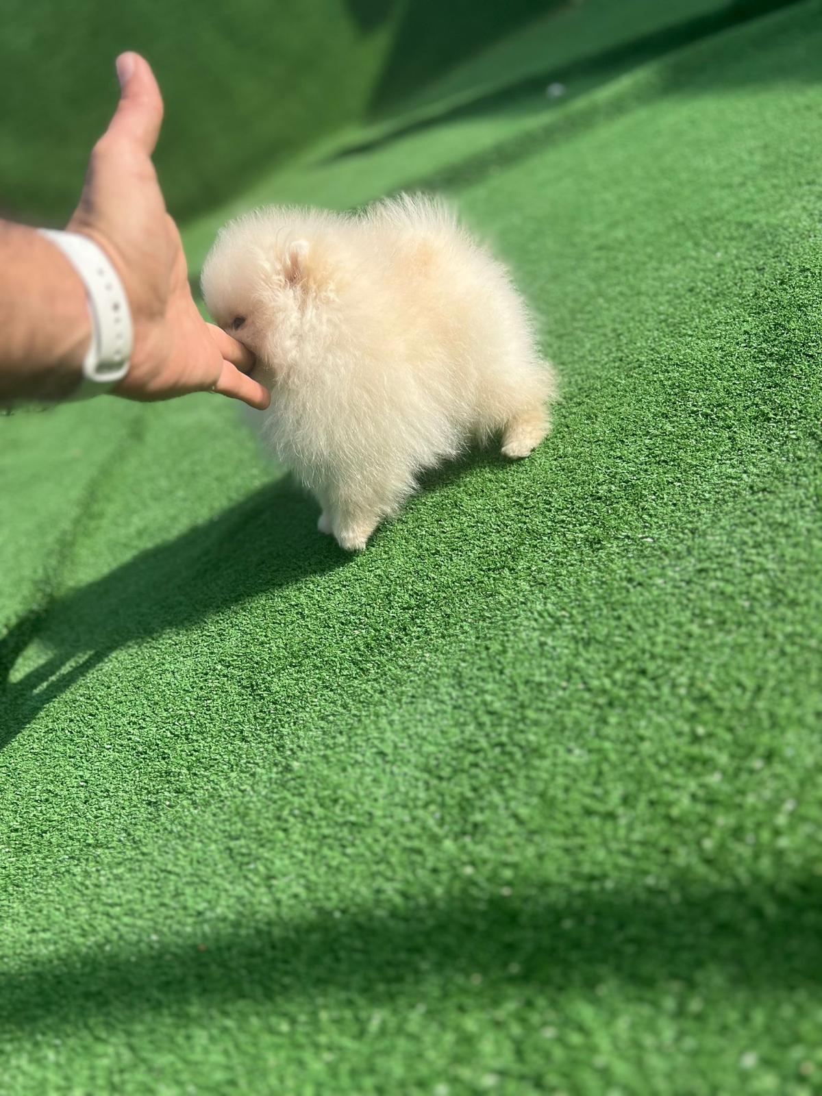 e982f5e9-61db-42c2-84f8-5b7c57104ffb